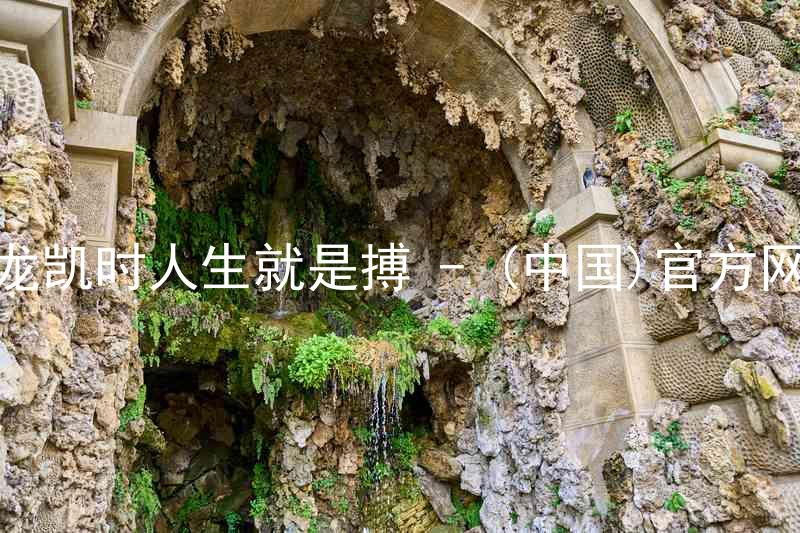 尊龙凯时人生就是搏 - (中国)官方网站